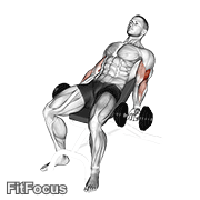 Dumbbell Incline Curl V. 2 GIF
