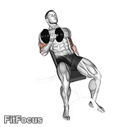 Dumbbell Incline Curl GIF
