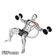 Dumbbell Incline Fly On Exercise Ball GIF