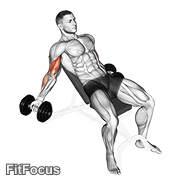 Dumbbell Incline Inner Biceps Curl GIF