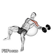 Dumbbell Incline One Arm Fly On Exercise Ball GIF