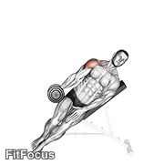 Dumbbell Incline One Arm Lateral Raise