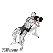 Dumbbell Incline One Arm Press GIF