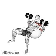 Dumbbell Incline Press On Exercise Ball GIF