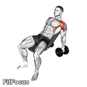Dumbbell Incline Raise GIF