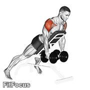 Dumbbell Incline Rear Lateral Raise GIF