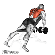 Dumbbell Incline Row GIF
