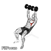 Dumbbell Incline Shoulder Raise GIF