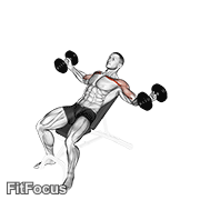 Dumbbell Incline Twisted Flyes