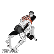 Dumbbell Incline Y-raise GIF