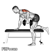 Dumbbell Kickback GIF — animated arms exercise demonstration