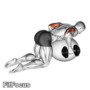 Dumbbell Kickbacks On Exercise Ball animated form demonstration