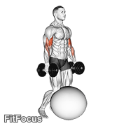 Dumbbell Kneeling Bicep Curl Exercise Ball GIF