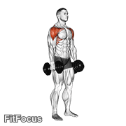 Dumbbell Lateral To Front Raise