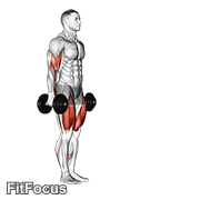 Dumbbell Lunge With Bicep Curl GIF