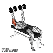 Dumbbell Lying Extension (across Face) GIF