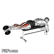 Dumbbell Lying Femoral GIF