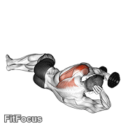 Dumbbell Lying On Floor Rear Delt Raise GIF