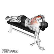 Dumbbell Lying One Arm Deltoid Rear GIF