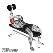 Dumbbell Lying One Arm Pronated Triceps Extension GIF