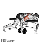 Dumbbell Lying One Arm Rear Lateral Raise GIF