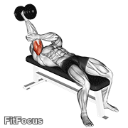 Dumbbell Lying One Arm Supinated Triceps Extension