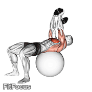Dumbbell Lying Pullover On Exercise Ball GIF