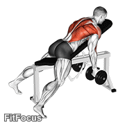 Dumbbell Lying Rear Delt Row animated form demonstration