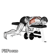 Dumbbell Lying Rear Lateral Raise GIF
