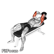 Dumbbell Lying Single Extension GIF