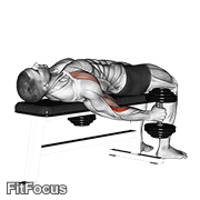 Dumbbell Lying Supine Curl GIF