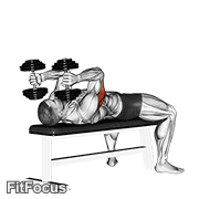 Dumbbell Lying Triceps Extension GIF