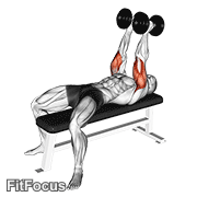 Dumbbell Neutral Grip Bench Press GIF
