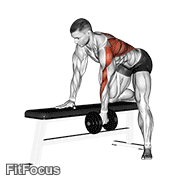 Dumbbell One Arm Bent-over Row exercise GIF demonstration