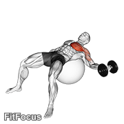 Dumbbell One Arm Chest Fly On Exercise Ball GIF