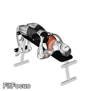 Dumbbell One Arm Decline Chest Press