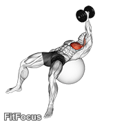 Dumbbell One Arm Fly On Exercise Ball GIF