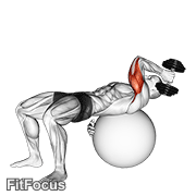 Dumbbell One Arm French Press On Exercise Ball GIF