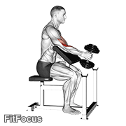 Dumbbell One Arm Hammer Preacher Curl GIF