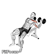 Dumbbell One Arm Incline Chest Press GIF