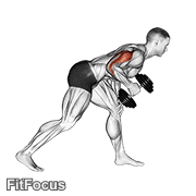 Dumbbell One Arm Kickback GIF