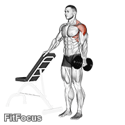 Dumbbell One Arm Lateral Raise With Support GIF