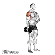 Dumbbell One Arm Lateral Raise GIF