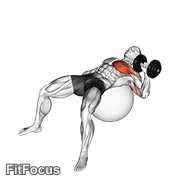 Dumbbell One Arm Press On Exercise Ball GIF