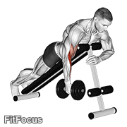 Dumbbell One Arm Prone Hammer Curl GIF