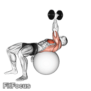 Dumbbell One Arm Pullover On Exercise Ball GIF