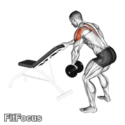 Dumbbell One Arm Reverse Fly (with Support) GIF