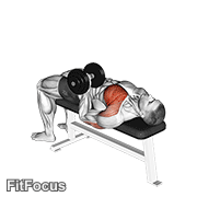 Dumbbell One Arm Reverse Grip Press GIF