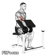 Dumbbell One Arm Reverse Preacher Curl GIF