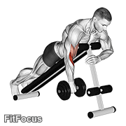 Dumbbell One Arm Reverse Spider Curl GIF